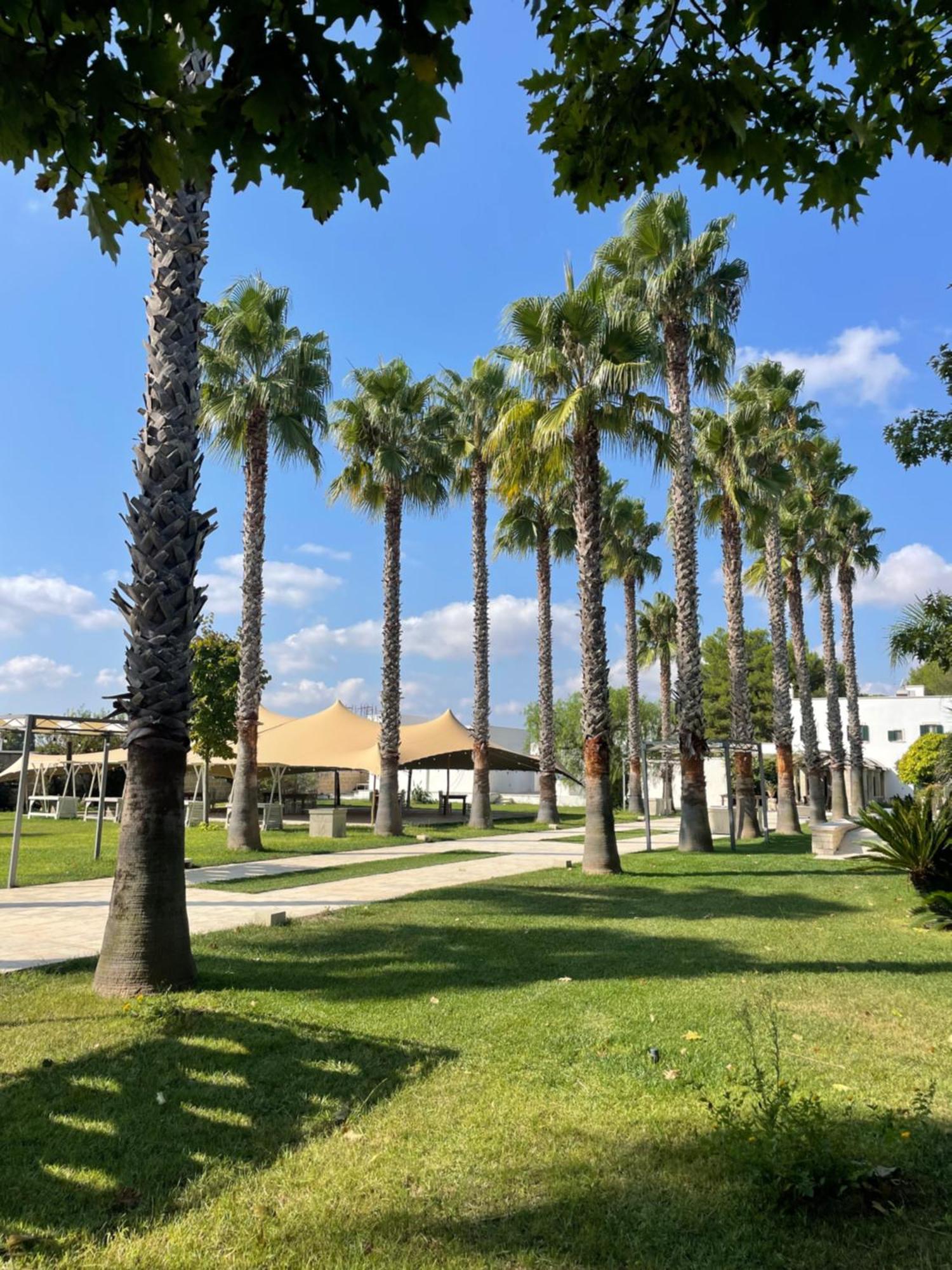 Parco Degli Aranci Acomodação com café da manhã Cutrofiano Exterior foto